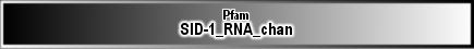 SID-1_RNA_chan