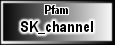 SK_channel