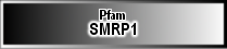 SMRP1