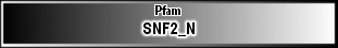 SNF2_N