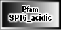 SPT6_acidic