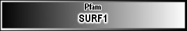 SURF1