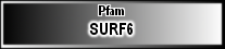 SURF6