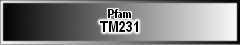 TM231