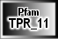TPR_11