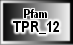 TPR_12