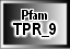 TPR_9