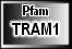 TRAM1