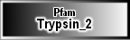 Trypsin_2