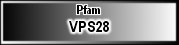 VPS28