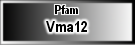 Vma12