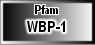 WBP-1