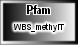 WBS_methylT