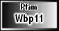 Wbp11