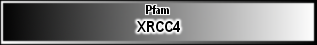 XRCC4
