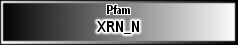 XRN_N