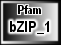 bZIP_1
