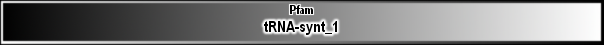tRNA-synt_1