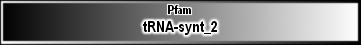 tRNA-synt_2