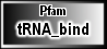 tRNA_bind